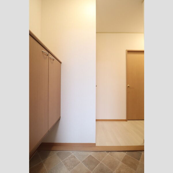 玄関 (シューズボックス(カウンタータイプ))