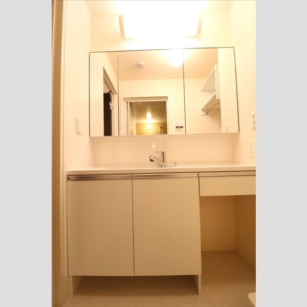 洗面所 (洗髪洗面化粧台)