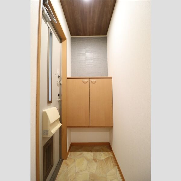 玄関 (シューズボックス(カウンタータイプ))