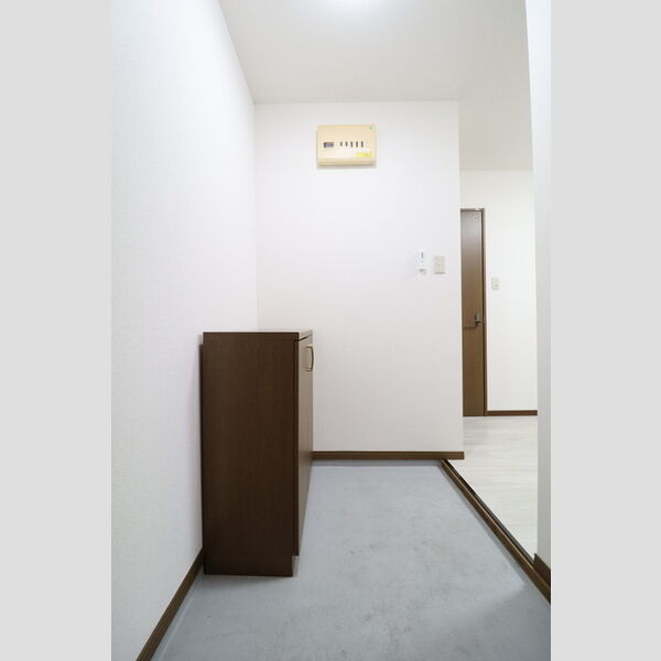 玄関 (シューズボックス(カウンタータイプ))