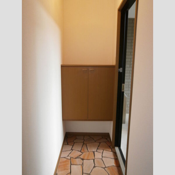 玄関 (シューズボックス(カウンタータイプ))