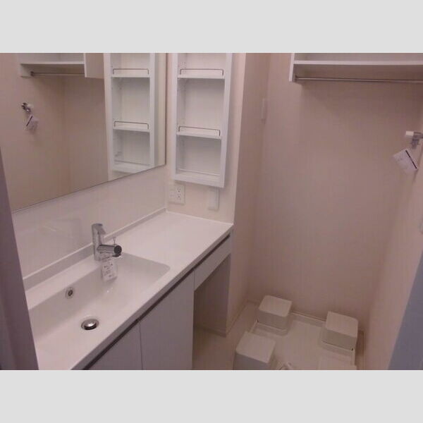 洗面所 (洗髪洗面化粧台)