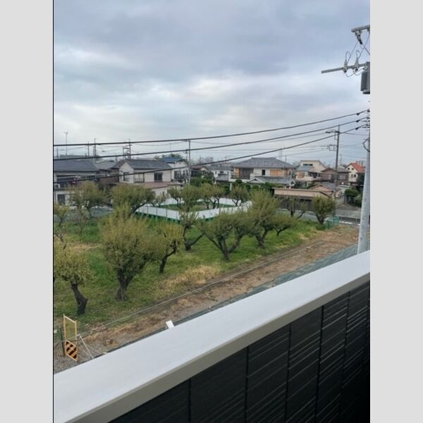 現地周辺 (眺望)