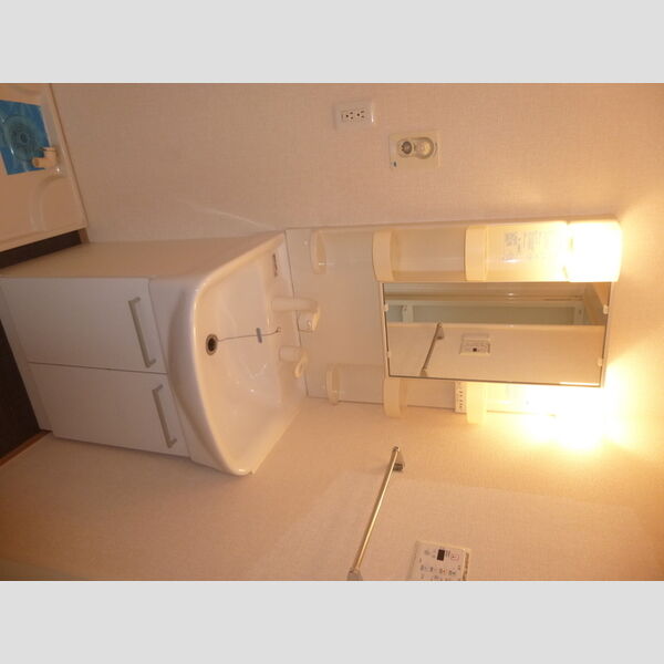 洗面所 (洗髪洗面化粧台)