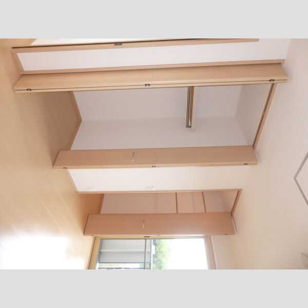 収納 (2階 洋室の収納)