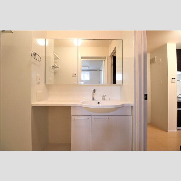 その他 (洗面化粧台)