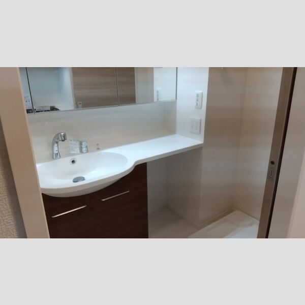 洗面所 (洗面化粧台)