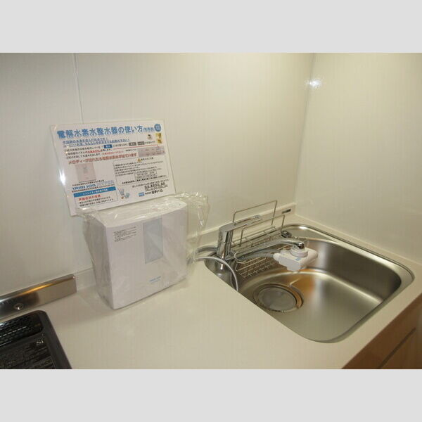 その他 (電解水素水整水器)