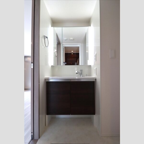 洗面所 (洗髪洗面化粧台)