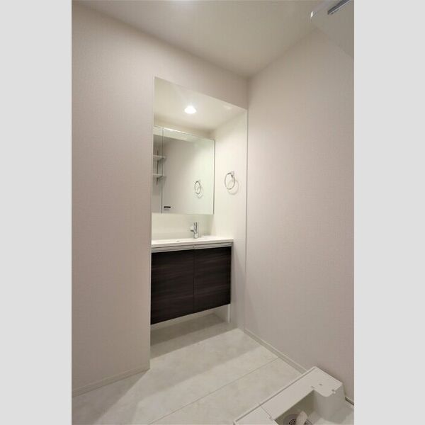 洗面所 (洗面所)