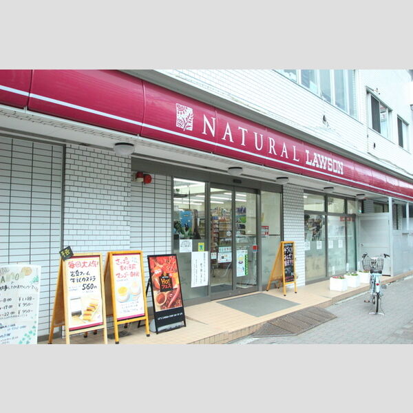 現地周辺 (ナチュラルローソン 東麻布三丁目店)