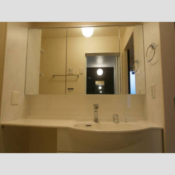 洗面所 (201 洗面化粧台)