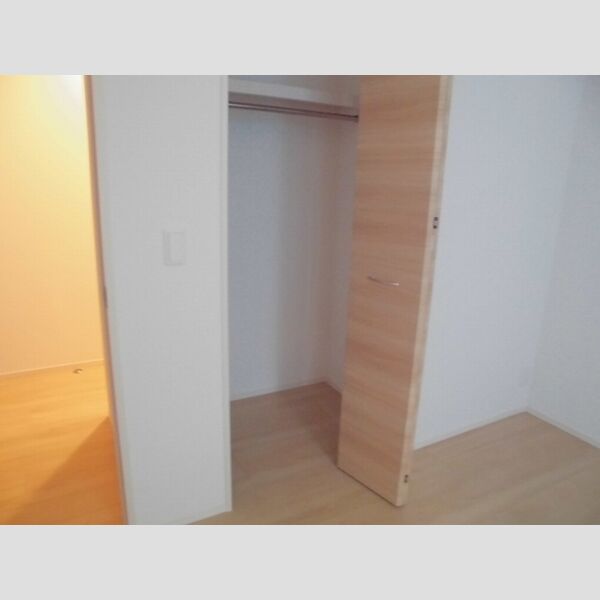 収納 (洋室5.3帖　クローゼット)