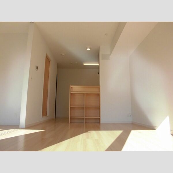 居室・リビング (LKD11.4帖)