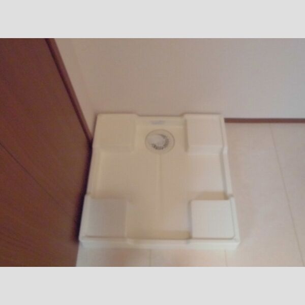 その他 (室内洗濯機置場)