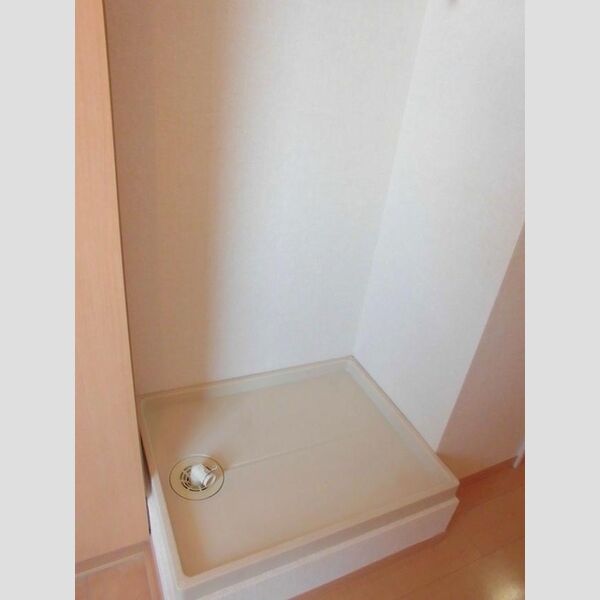 その他 (室内洗濯機置場)