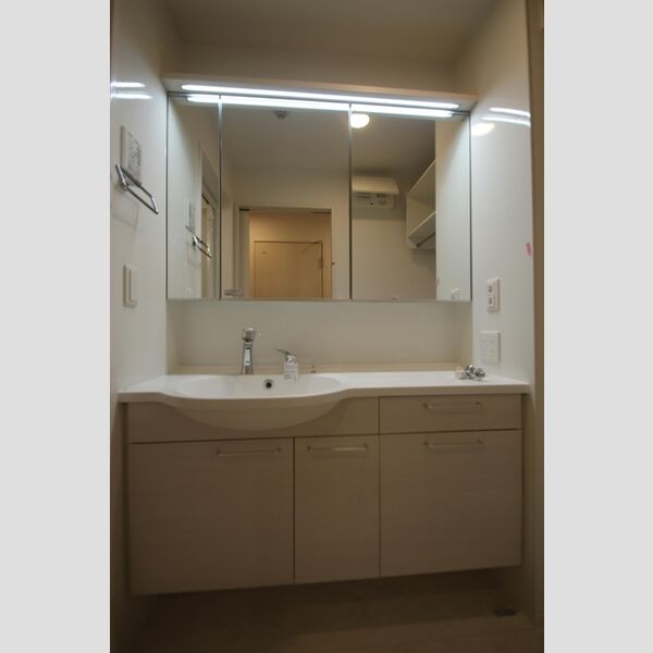 洗面所 (鏡面裏収納)