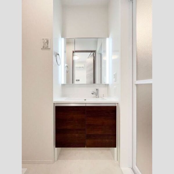 洗面所 (洗髪洗面化粧台)