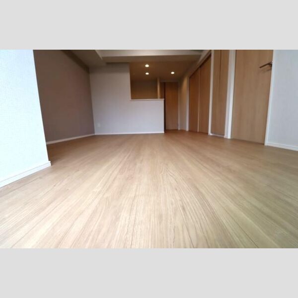 居室・リビング (LDK13、1帖)