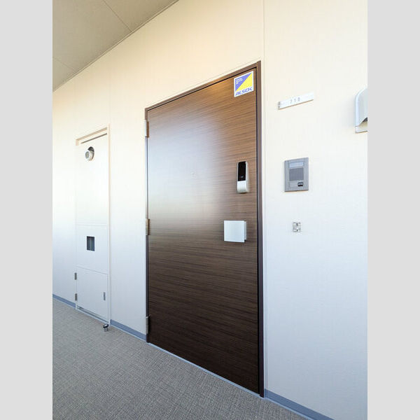 玄関 (玄関ドア)