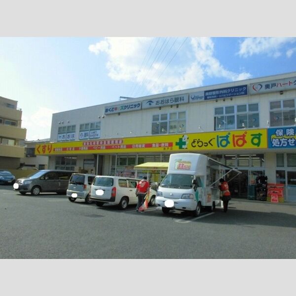 現地周辺 (どらっぐぱぱす奥戸店まで350m)