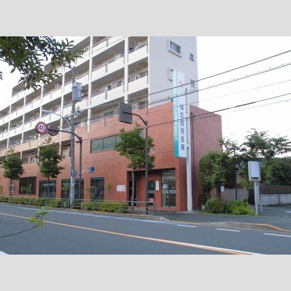 現地周辺 (城北信用金庫葛飾支店まで561m)