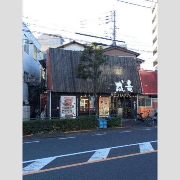 現地周辺 (成竜平和橋通り店まで300m)