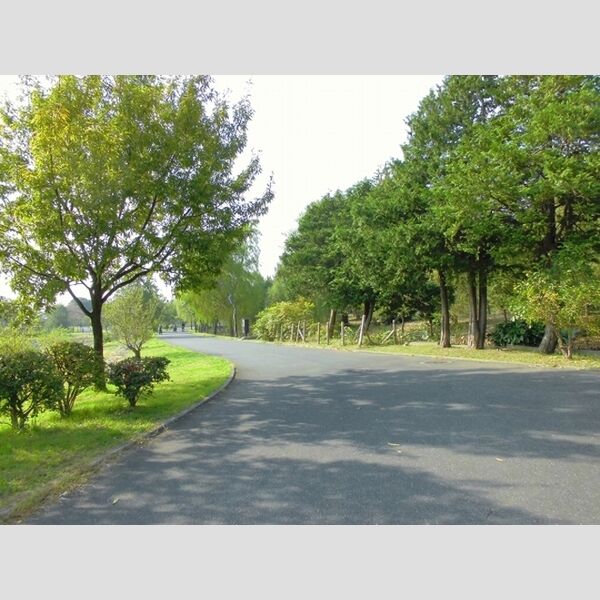 現地周辺 (水元公園)
