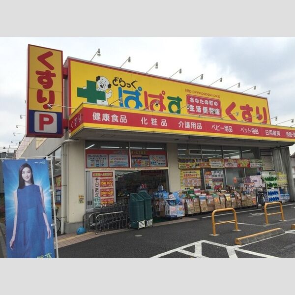 現地周辺 (ドラッグぱぱす四つ木平和橋通り店まで680メートル)