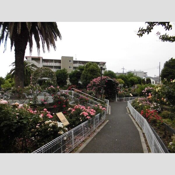 現地周辺 (清和バラ公園)