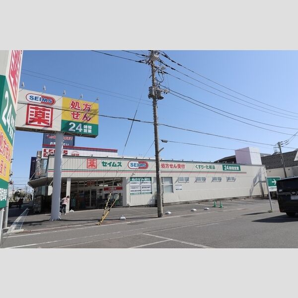現地周辺 (ドラックセイムス南水元店)