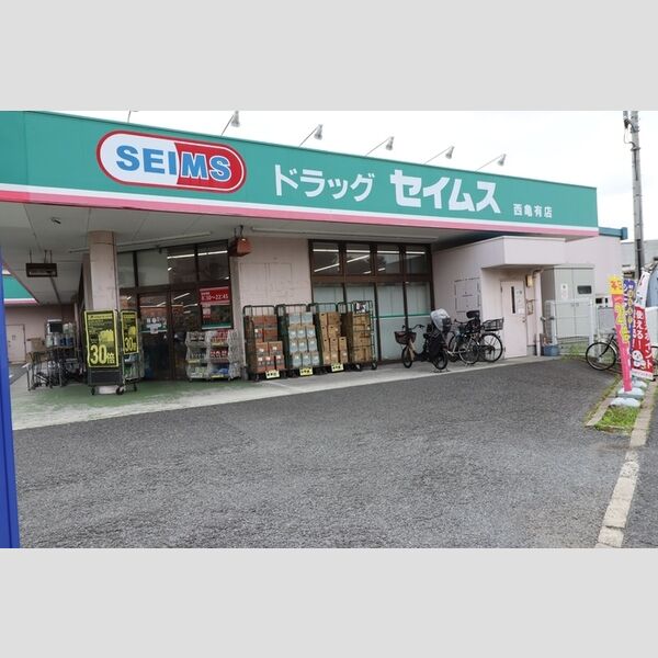 現地周辺 (セイムス 西亀有店)