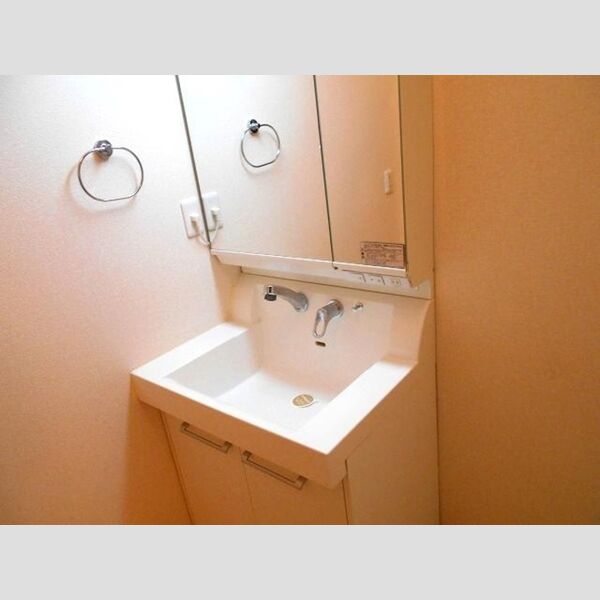 洗面所 (洗髪洗面化粧台)