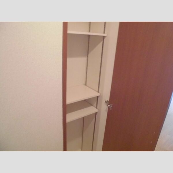 収納 (廊下　物入)