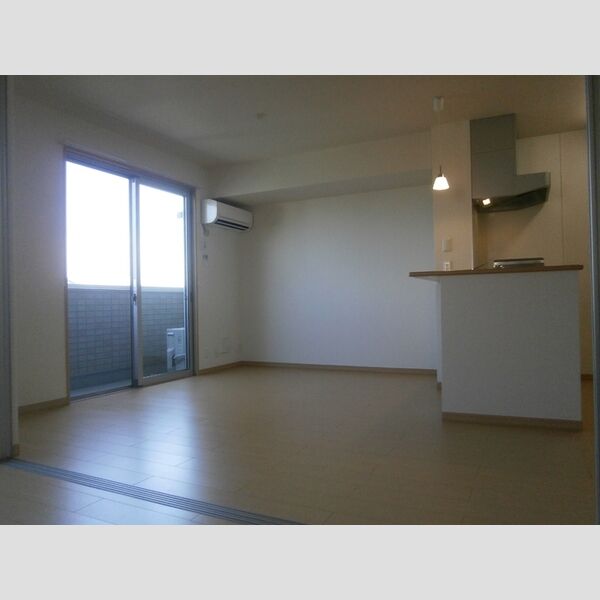 居室・リビング (LDK11.25帖)