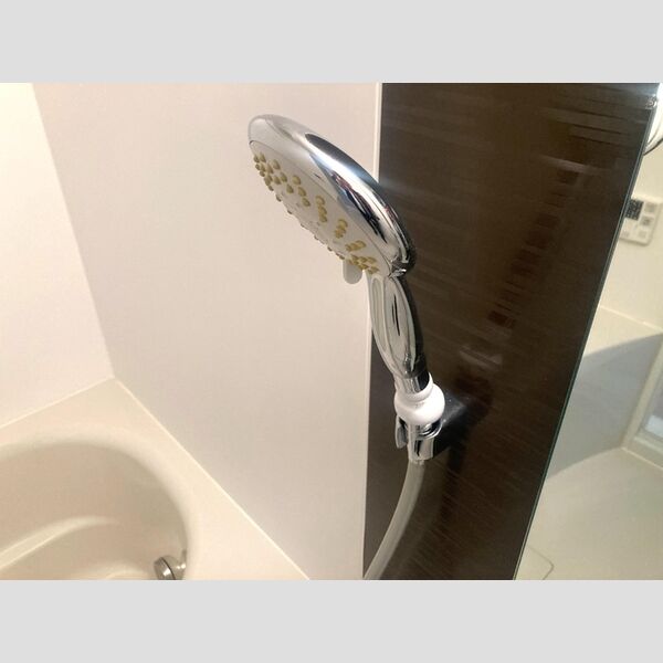 バス (マイクロファインバブルシャワーヘッド)