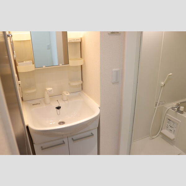 洗面所 (洗髪洗面化粧台)