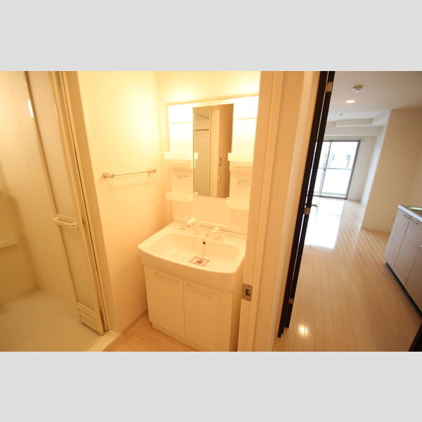 洗面所 (洗髪洗面化粧台)