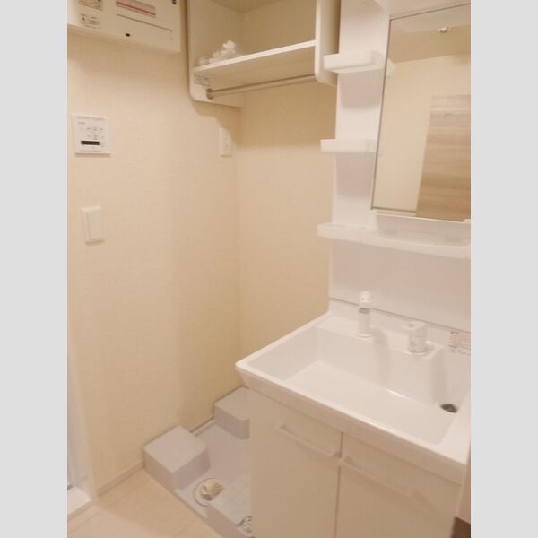 洗面所 (洗髪洗面化粧台・室内洗濯機置場)