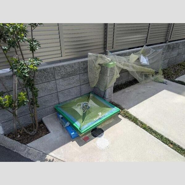 現地周辺 (ごみ置き場)