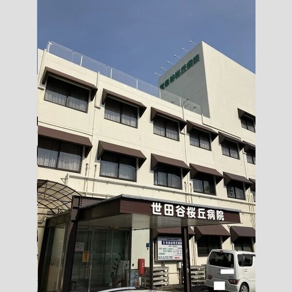 現地周辺 (医療法人社団望眞会世田谷桜丘病院)