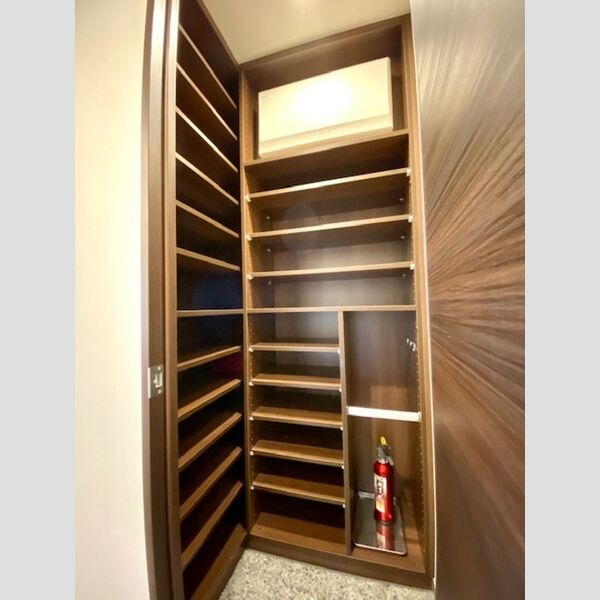 その他 (2020号室玄関収納)