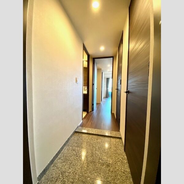 玄関 (2020号室玄関)