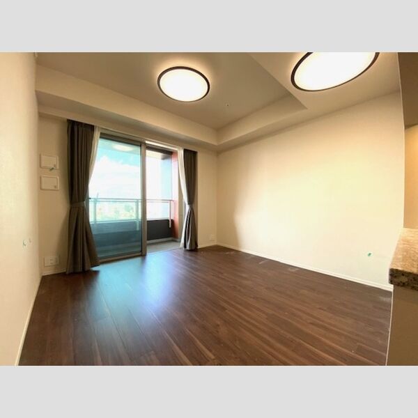 居室・リビング (2020号室LDKは床暖房付き)