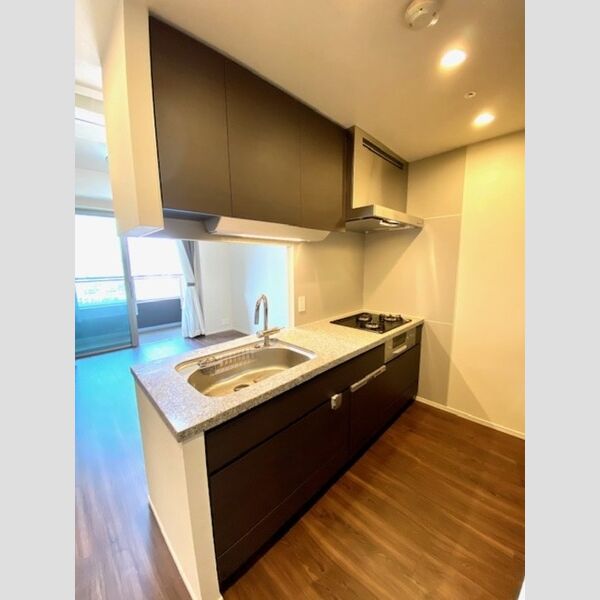 キッチン (2020号室システムキッチン)