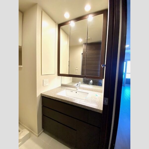 洗面所 (2020号室洗髪洗面化粧台)