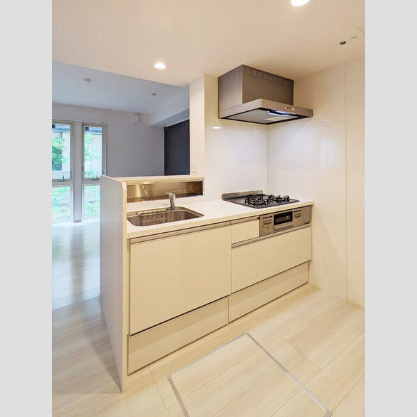 キッチン (102号室　システムキッチン)