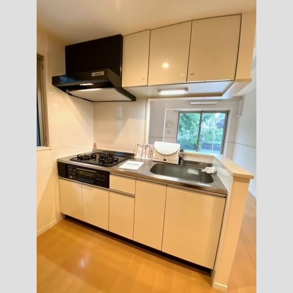 キッチン (101号室　3口コンロキッチン)