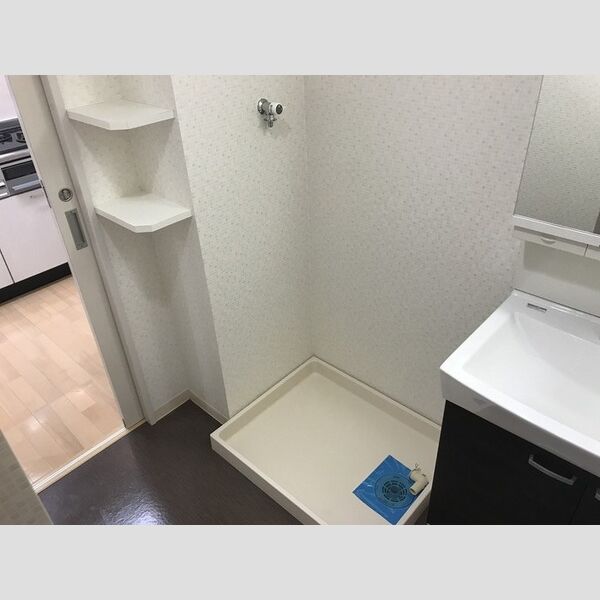 その他 (211号室 洗濯機置場)