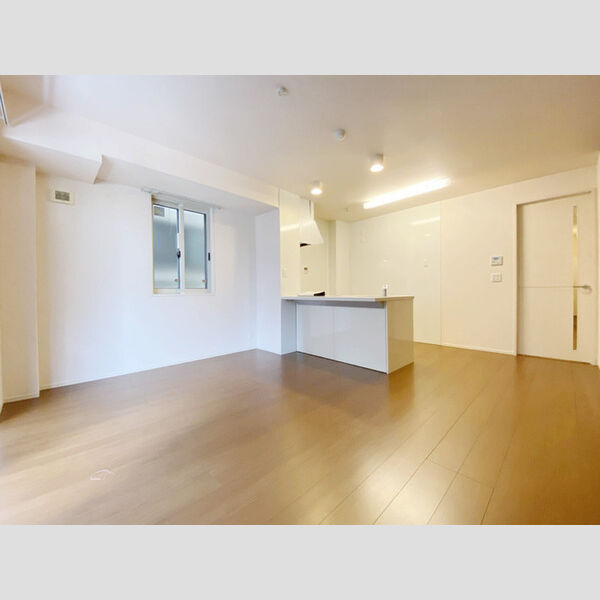 居室・リビング (101号室　LDK)